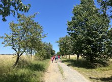 2024-07-06-13.42 -  S IMG 8218